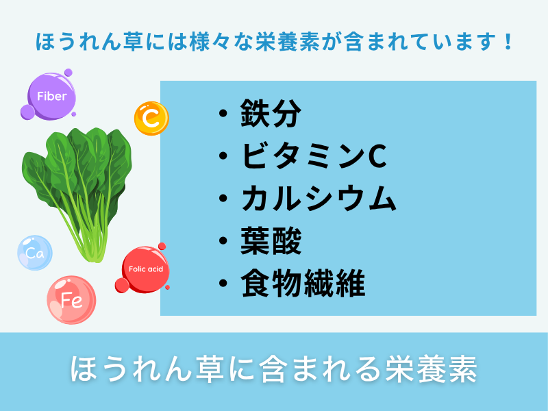 ほうれん草に含まれる栄養素