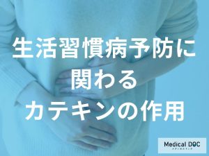 「カテキン」は何の生活習慣病を予防するのに効果がある？管理栄養士が監修！
