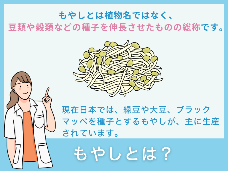 「もやし」とは？