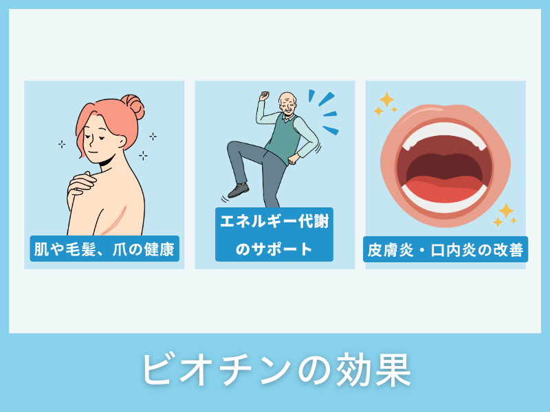 ビオチンの効果