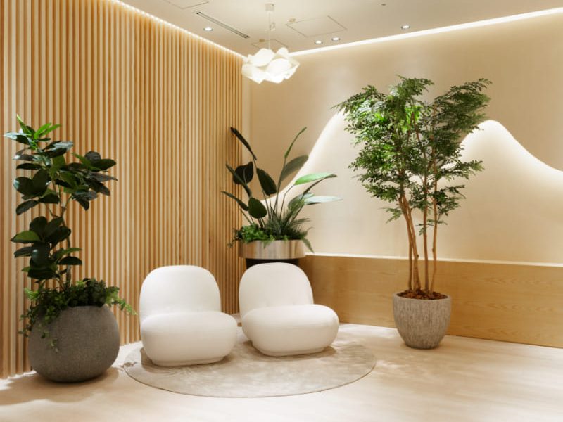 脂肪吸引の森クリニック 東京院