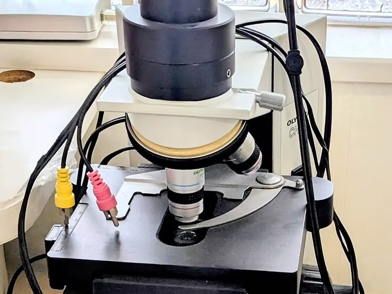 おかだ歯科・矯正歯科