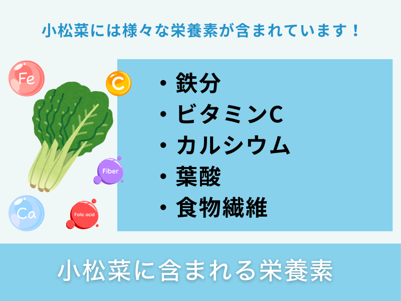 小松菜に含まれる栄養素