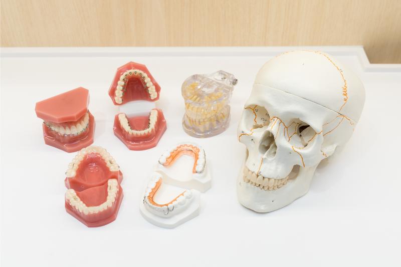 たいとう矯正歯科