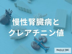 クレアチニン値と腎機能の関係