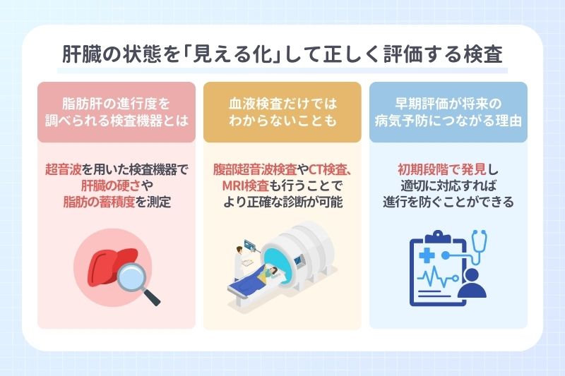 肝臓の状態を｢見える化｣して正しく評価する検査
