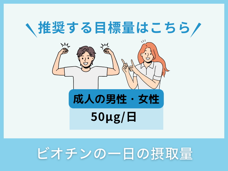 ビオチンの一日の摂取量は？