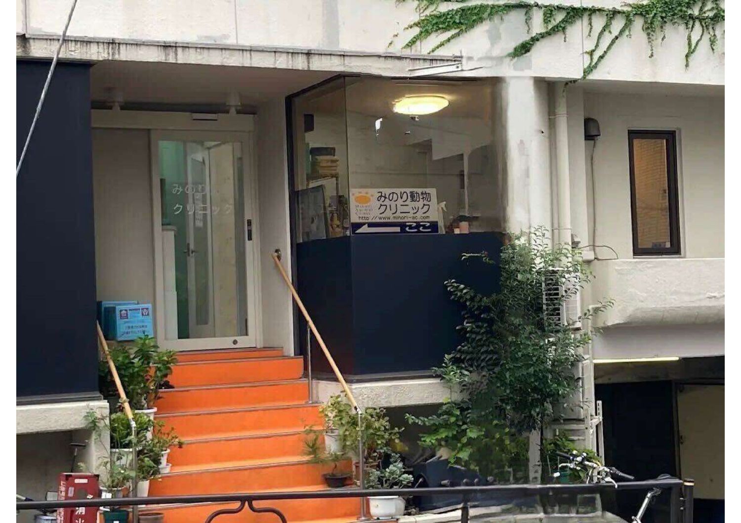みのり動物クリニック