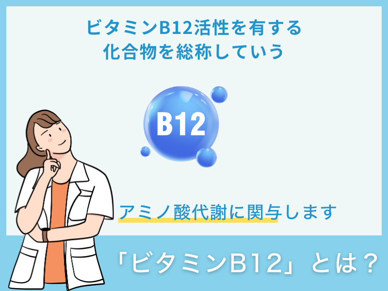 ビタミンB12とは？