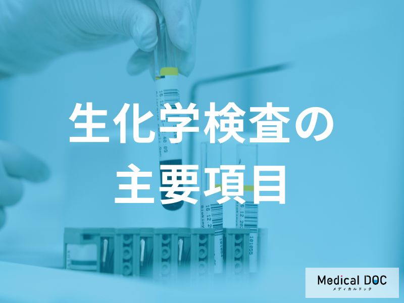 健康診断で気になる「肝機能・腎機能」の数値とは?生化学検査の基本を解説