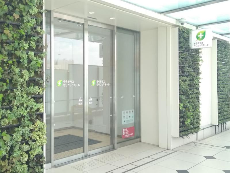 武蔵小杉皮ふ科