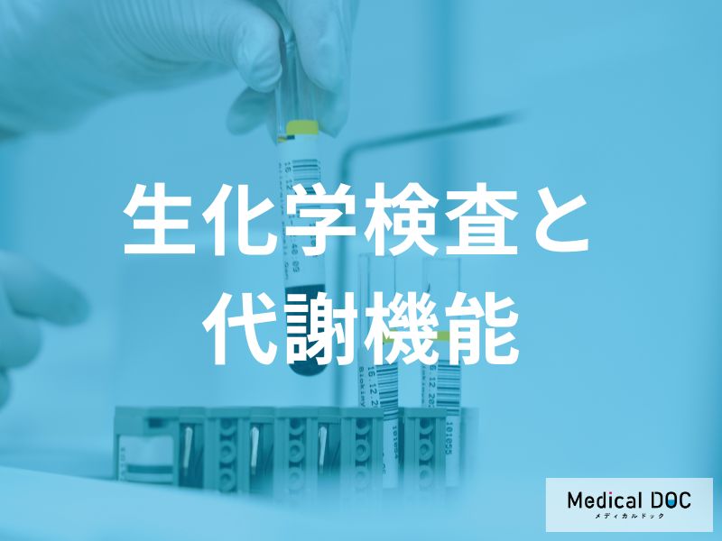 「血糖値」や「コレステロール」が高いとどうなる？血液検査でわかる生活習慣病リスク