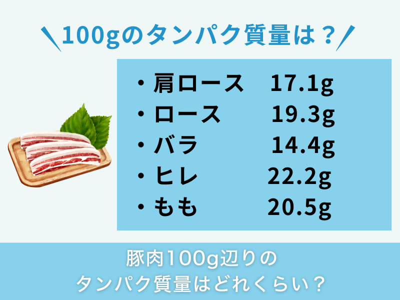 豚肉100g辺りのタンパク質量はどれくらい?