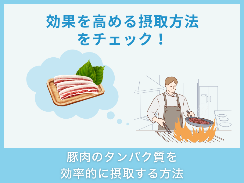 豚肉のタンパク質を効率的に摂取する方法
