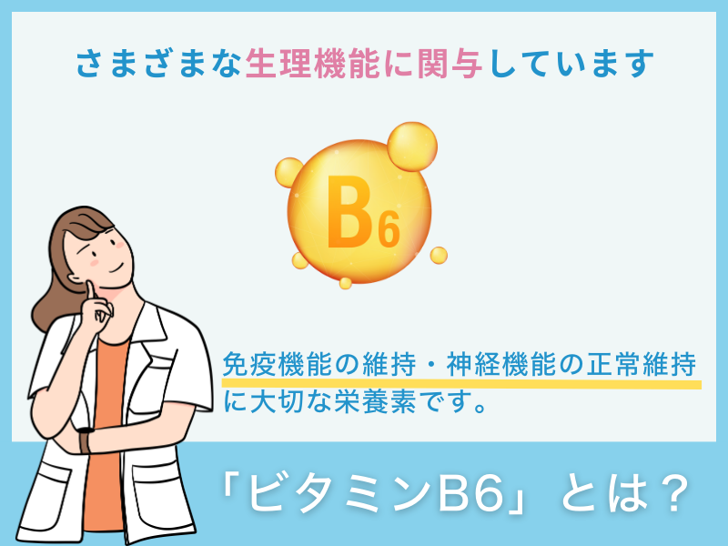 「ビタミンB6」とは?
