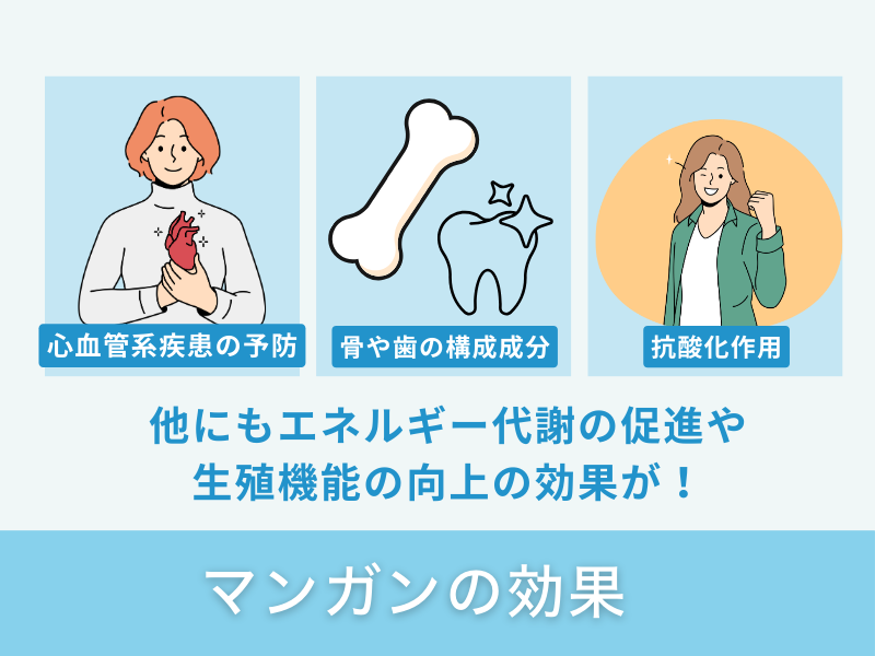 マンガンの効果