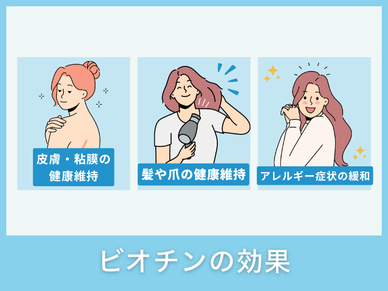 ビオチンの効果