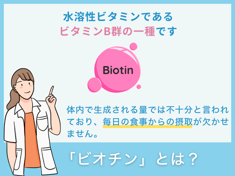 ビオチンとは？