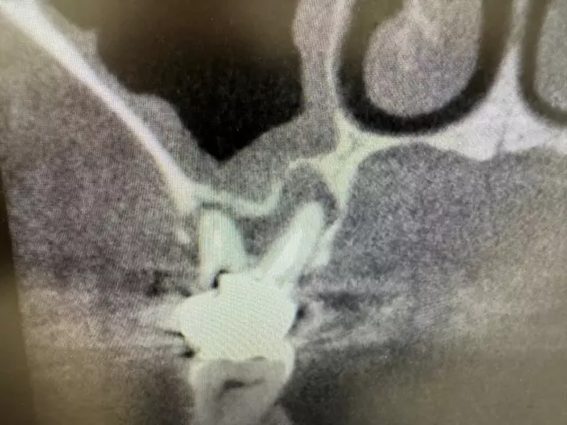 あかつき歯科医院