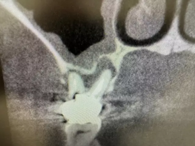 あかつき歯科医院