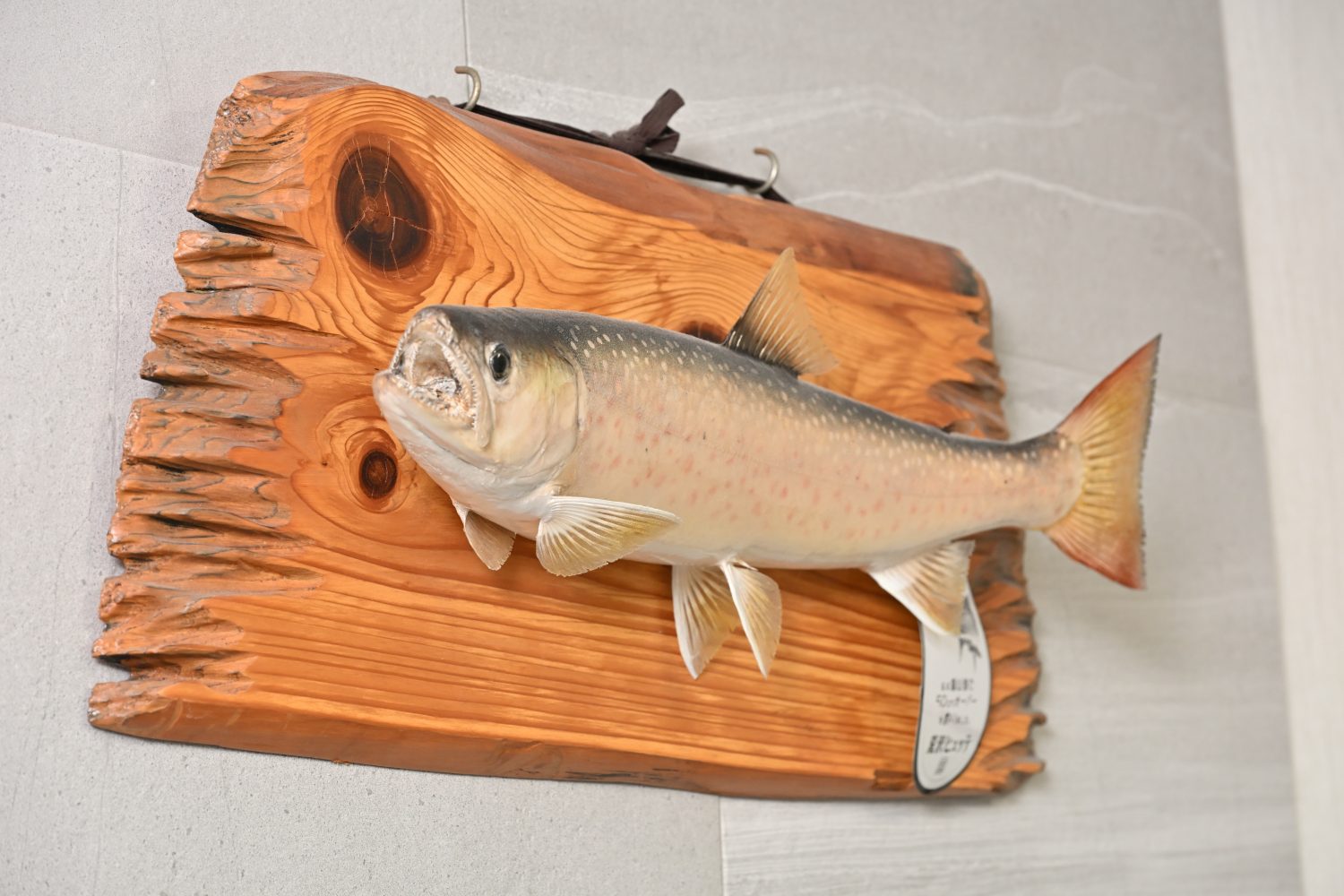 本納駅前歯科photo