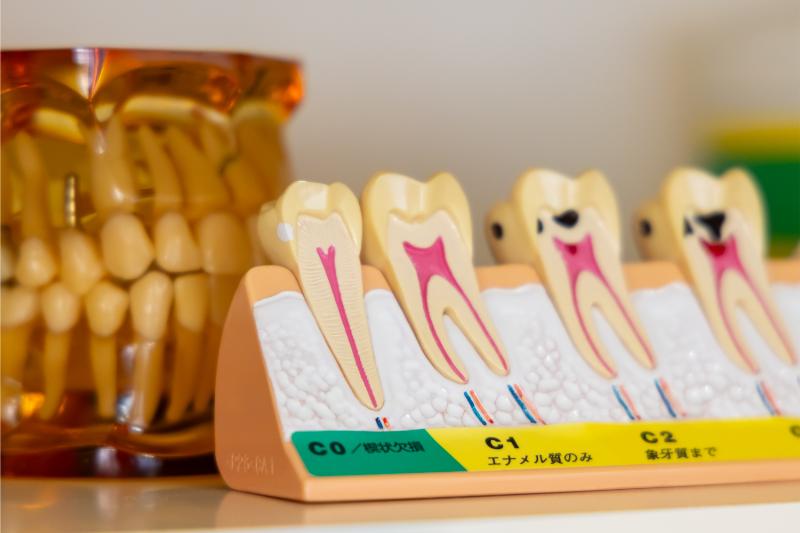 サンモール歯科photo