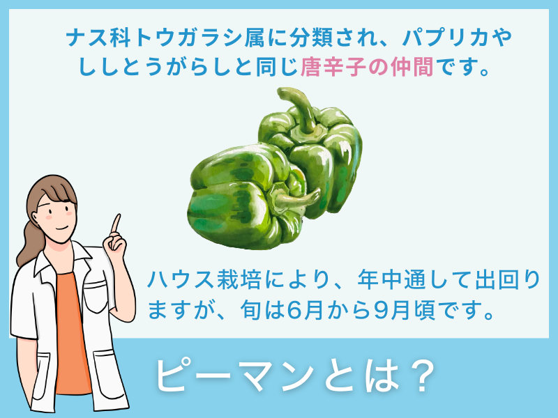 ピーマンとは?