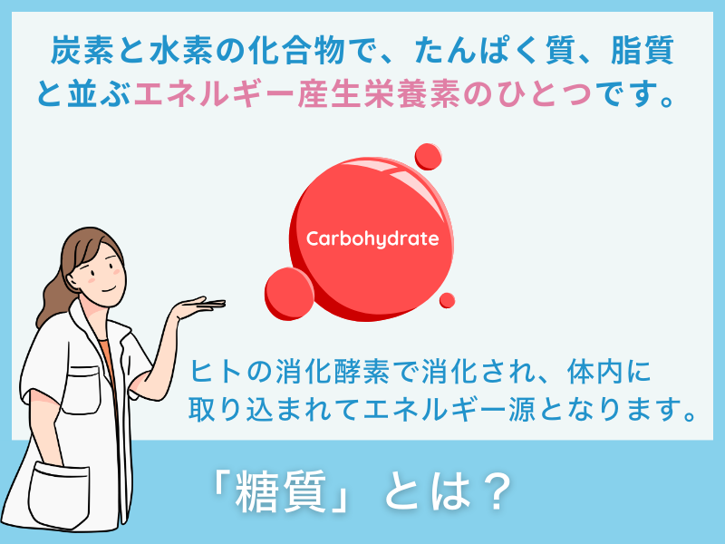 糖質とは?