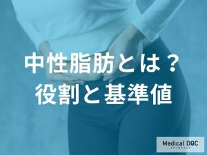 中性脂肪とは何か—身体での役割と基準値