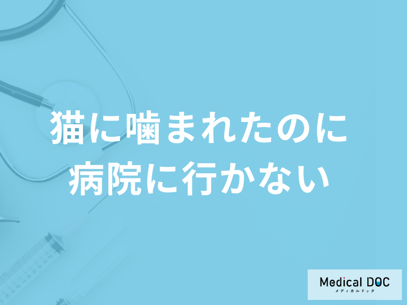 「猫に噛まれたのに病院へ行かない」のは要注意！放置で起こる感染症と応急処置を解説
