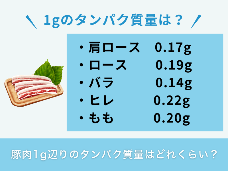 豚肉1g辺りのタンパク質量はどれくらい?