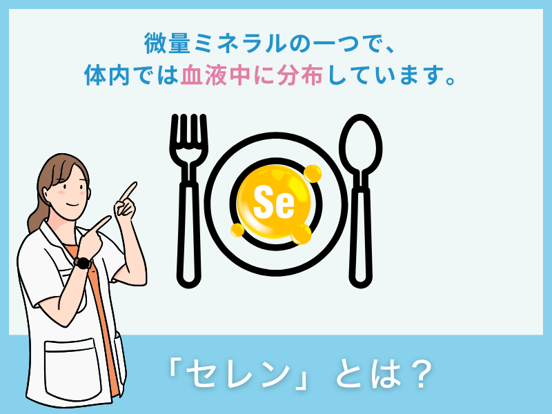 「セレン」とは？