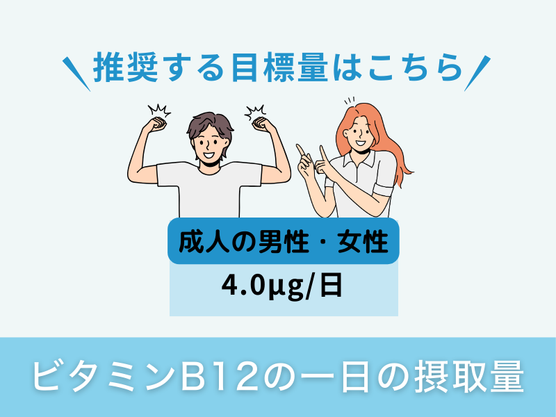 ビタミンB12の一日の摂取量