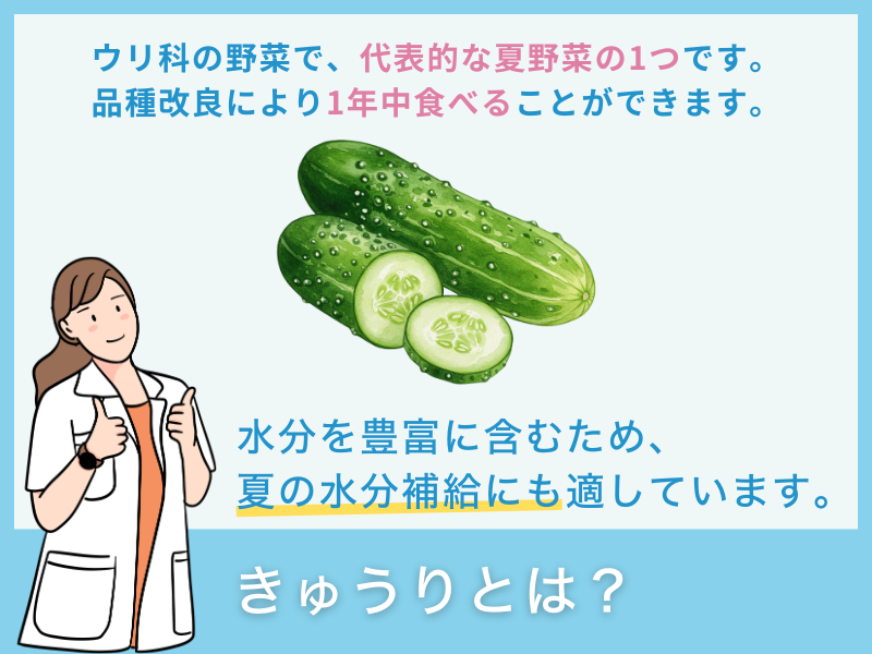 きゅうりとは？