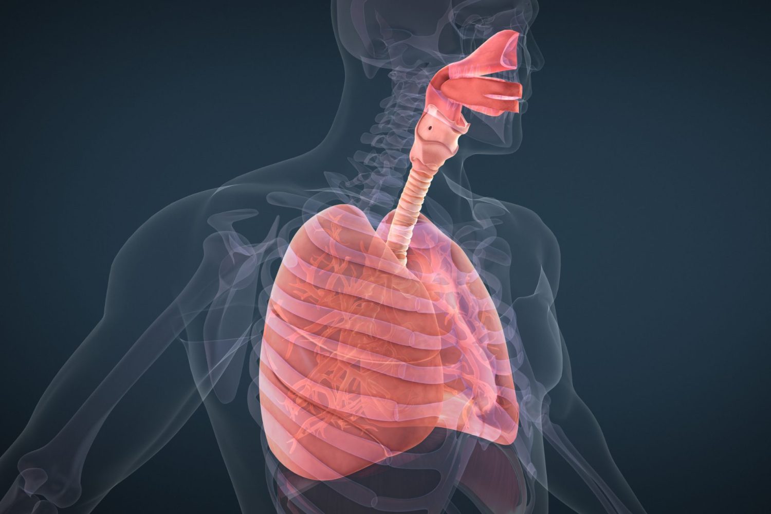 急性呼吸器感染症とは