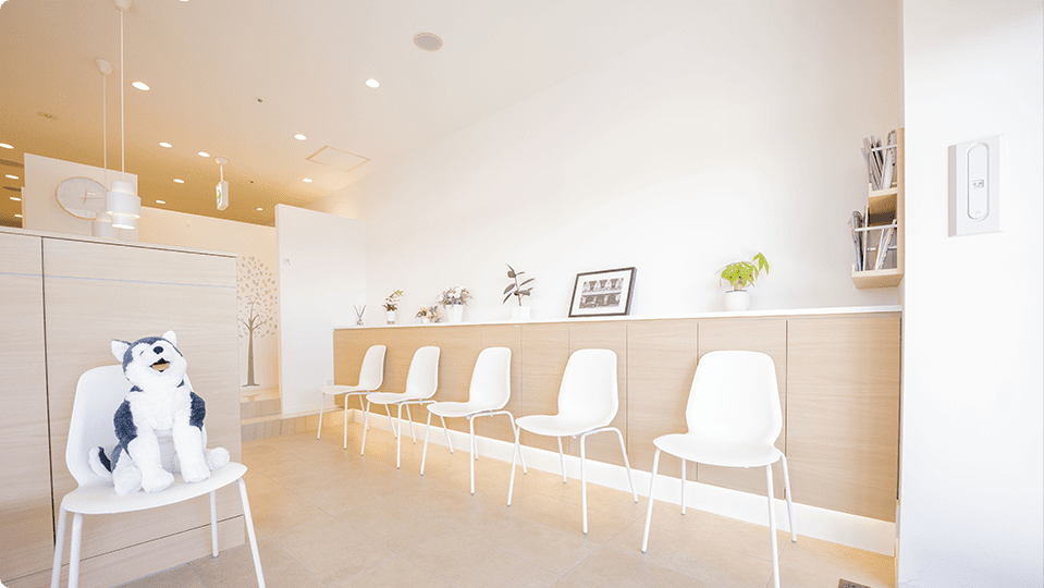 おおたかの森レブン歯科photo