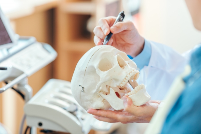 サイナスリフトにおける骨移植とは？治療内容やリスク、歯科医院選びのポイントを解説！