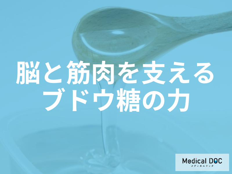 集中力低下や疲労感は「ブドウ糖」が鍵？適切な摂取タイミングとベジファーストの効果