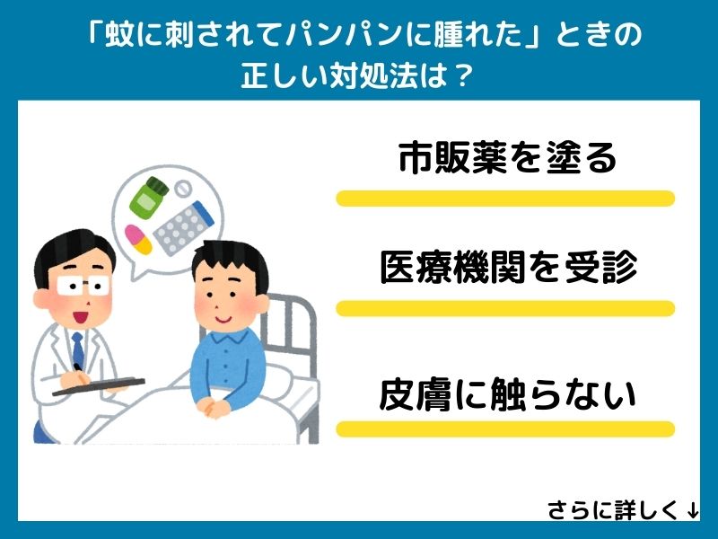「蚊に刺されてパンパンに腫れた」ときの正しい対処法は？