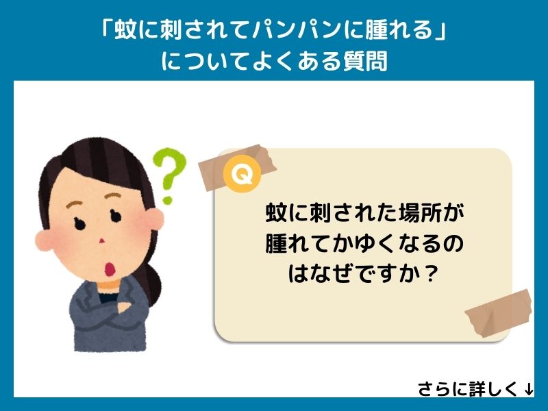 「蚊に刺されてパンパンに腫れる」についてよくある質問