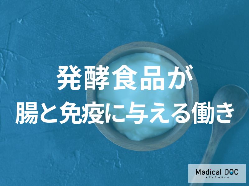 発酵食品が腸と免疫に与える働き