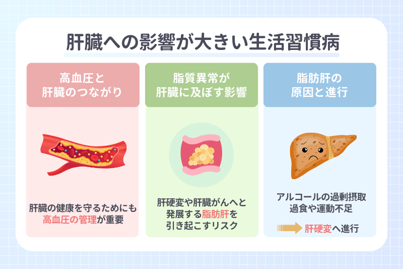 肝臓への影響が大きい生活習慣病