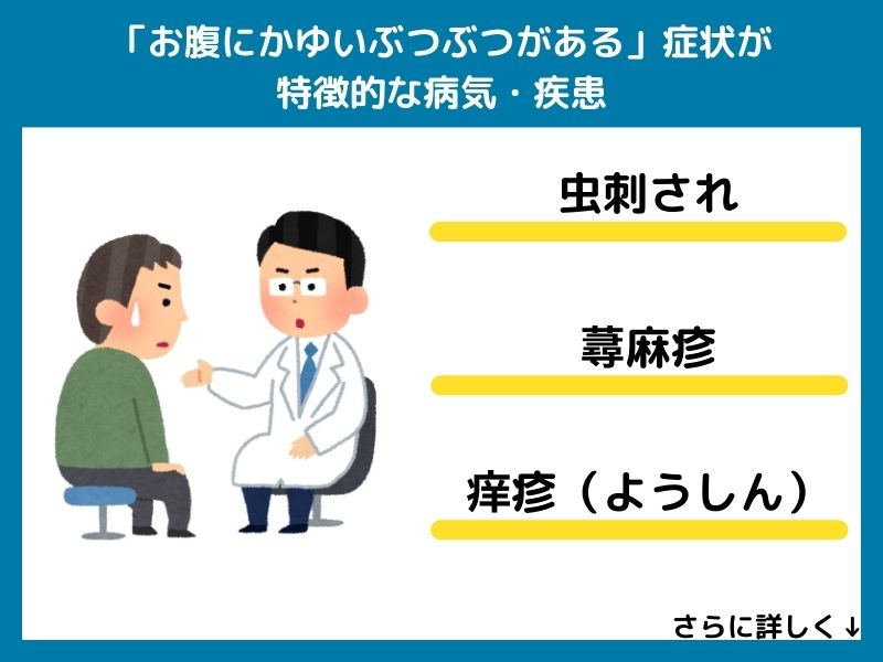 「お腹にかゆいぶつぶつがある」症状が特徴的な病気・疾患