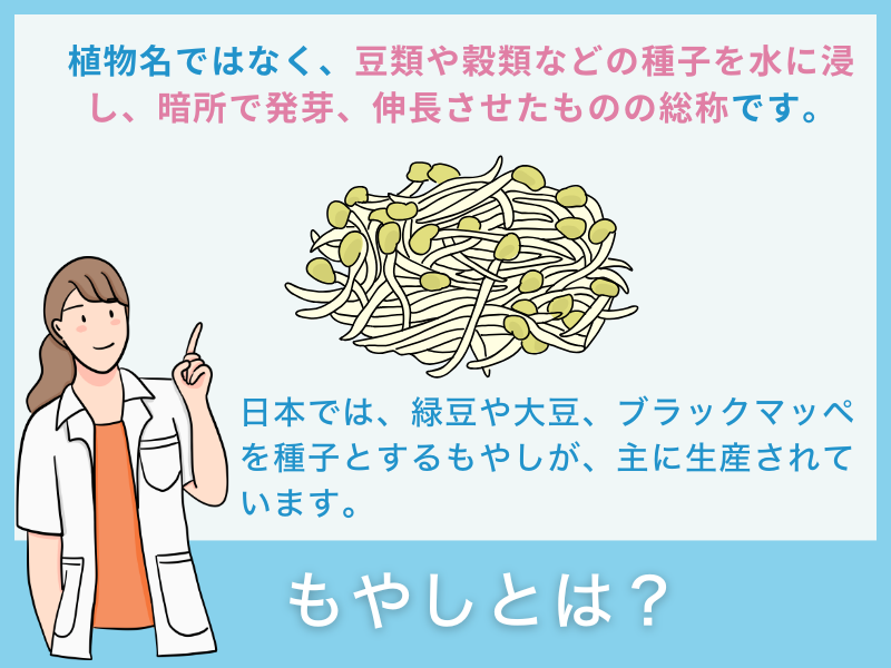 「もやし」とは？