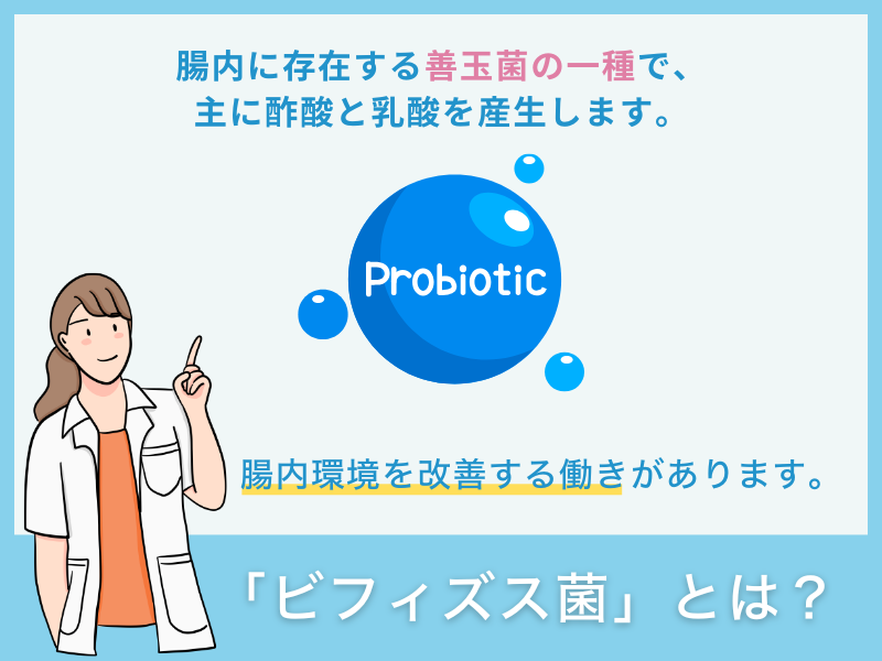 「ビフィズス菌」とは?
