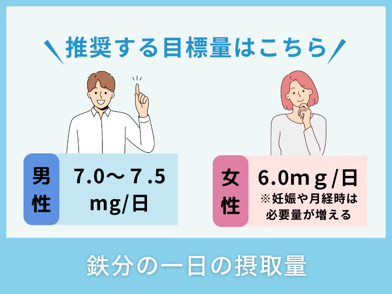 鉄分の一日の摂取量