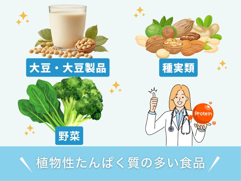 植物性たんぱく質の多い食品