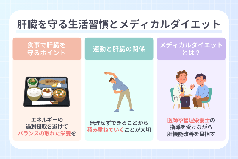 肝臓を守る生活習慣とメディカルダイエット