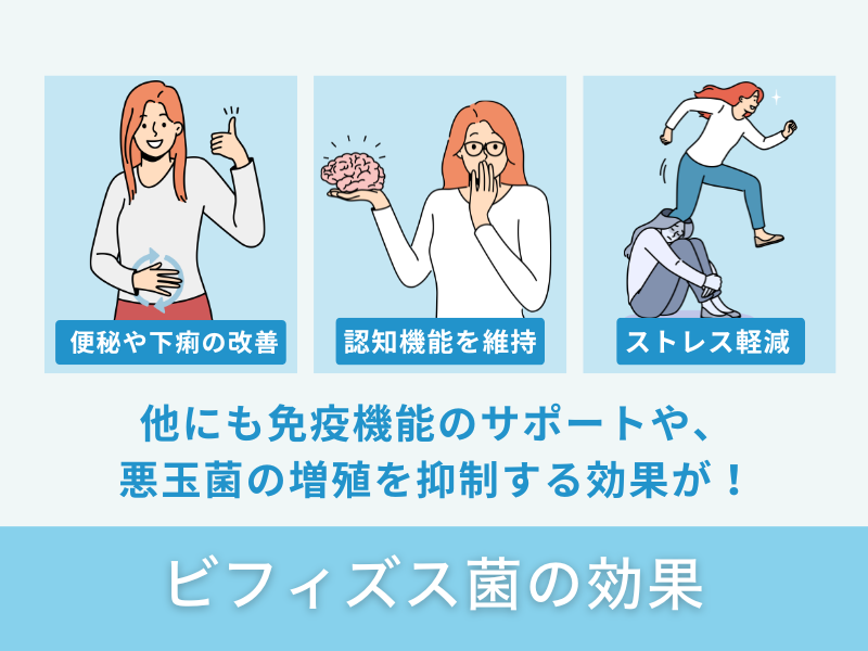 ビフィズス菌の効果