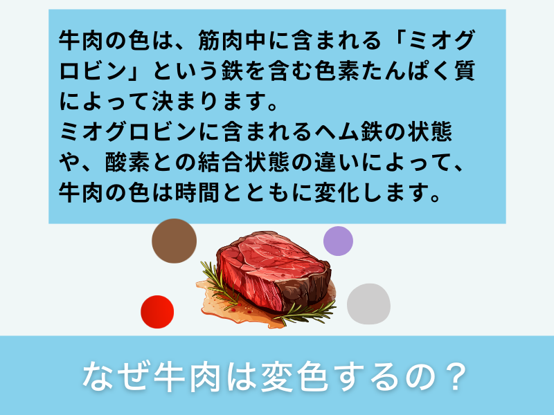 なぜ牛肉は変色するの？